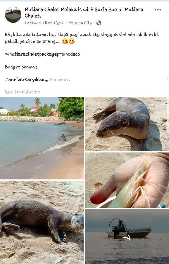 Mutiara Chalet Malacca Εξωτερικό φωτογραφία
